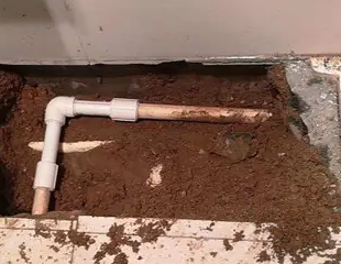 赣州市测漏水哪家好