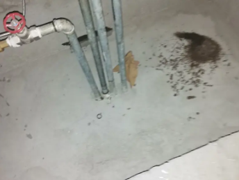 赣州市卫生间测漏水价格明细